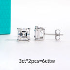 The Arch Earrings